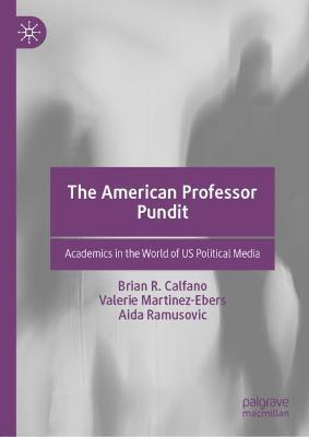 Book cover for The American Professor Pundit