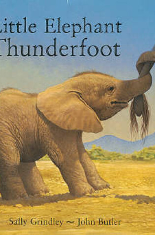 Cover of Little Elephant Thunderfoot