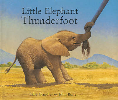 Book cover for Little Elephant Thunderfoot