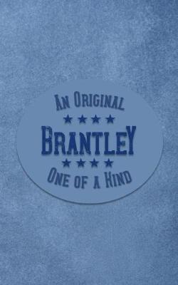 Book cover for Brantley