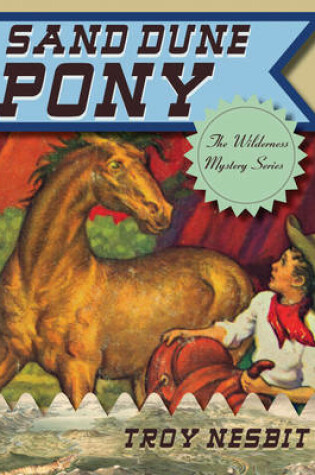 Cover of Sand Dune Pony