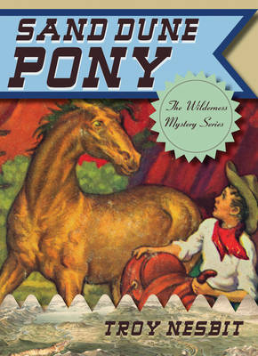 Book cover for Sand Dune Pony