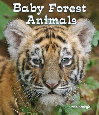 Book cover for Baby Forest Animals