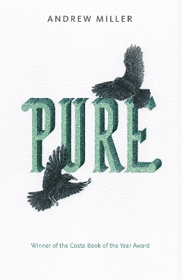 Book cover for Pure