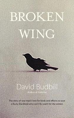 Book cover for Broken Wing