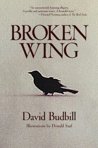 Cover of Broken Wing