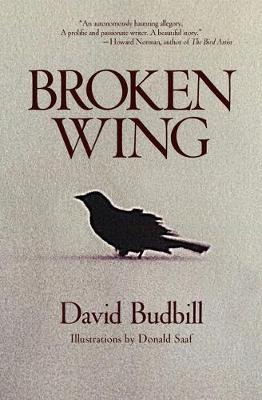 Book cover for Broken Wing