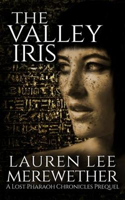 Book cover for The Valley Iris