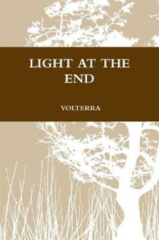 Cover of Light at the End