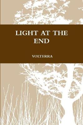 Book cover for Light at the End