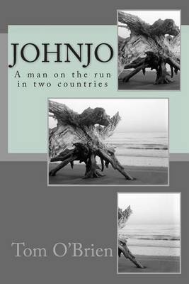 Book cover for Johnjo