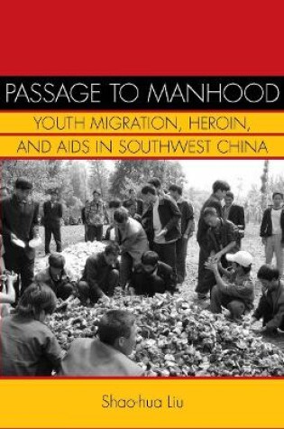 Cover of Passage to Manhood