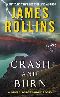 Book cover for Crash and Burn