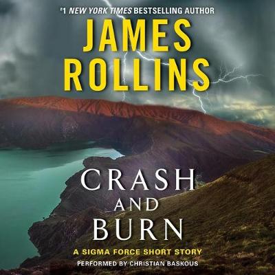 Book cover for Crash and Burn