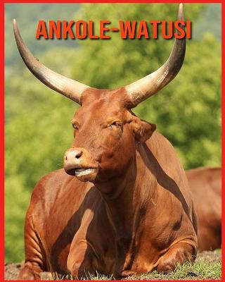 Book cover for Ankole-Watusi