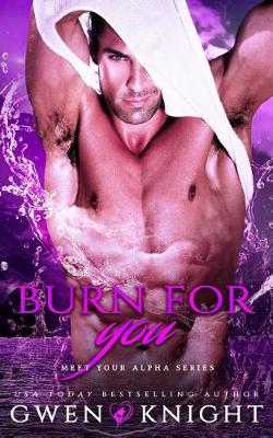 Cover of Burn For You