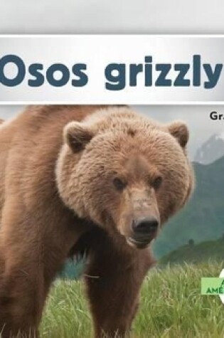 Cover of Osos Grizzly (Grizzly Bears) (Spanish Version)