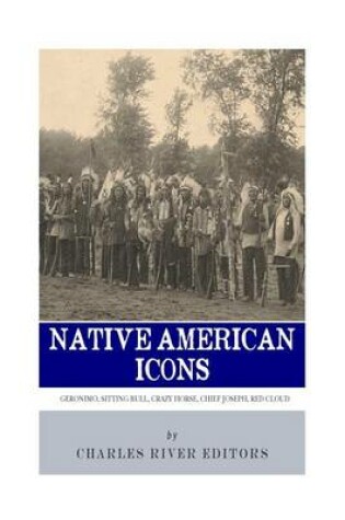 Cover of Native American Icons