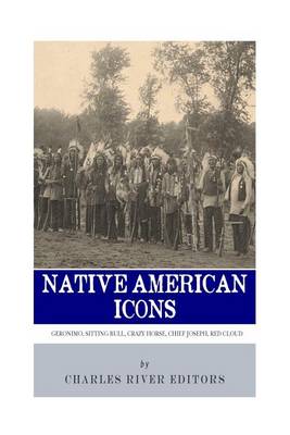 Book cover for Native American Icons