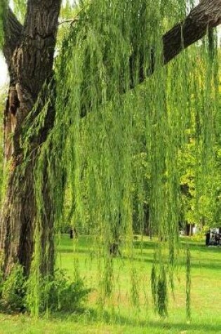 Cover of Green Weeping Willow Tree in the Park Journal