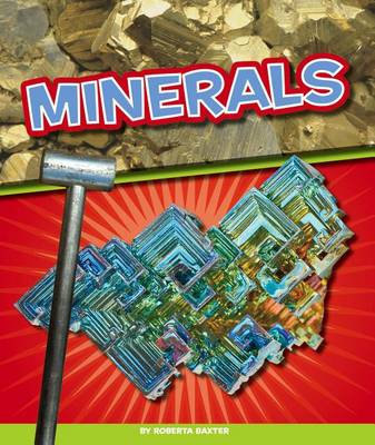 Book cover for Minerals