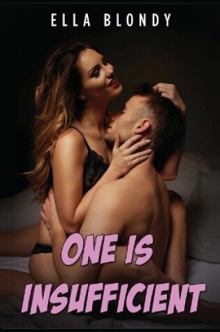 Cover of One is Insufficient - Hot Erotica Short Stories