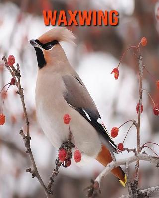 Book cover for Waxwing