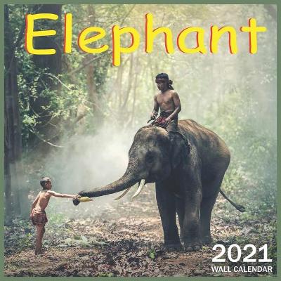 Book cover for 2021 Elephant