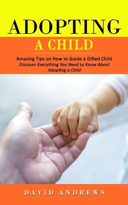 Book cover for Adopting a Child