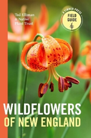 Cover of Wildflowers of New England