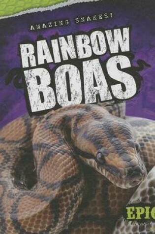 Cover of Rainbow Boas