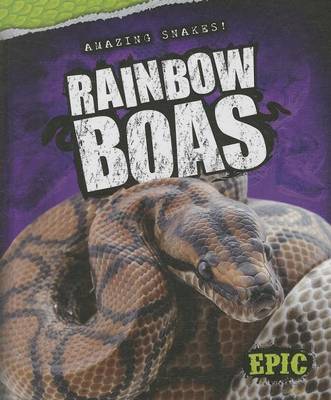 Book cover for Rainbow Boas