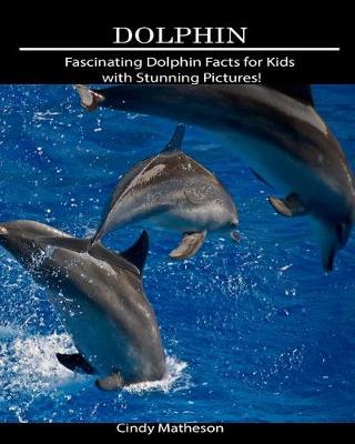 Book cover for Dolphin