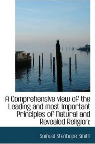 Cover of A Comprehensive View of the Leading and Most Important Principles of Natural and Revealed Religion