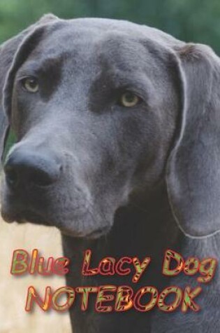 Cover of Blue Lacy Dog NOTEBOOK