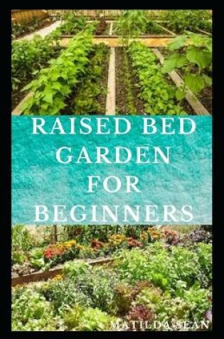 Cover of Raised Bed Garden for Beginners