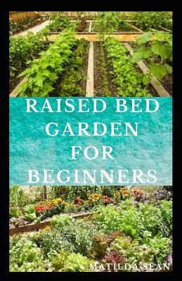 Book cover for Raised Bed Garden for Beginners