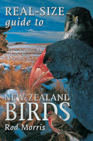 Cover of Real-Size Guide to NZ Birds