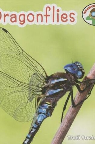 Cover of Dragonflies