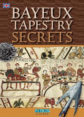 Book cover for Bayeux Tapestry Secrets - English