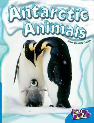 Book cover for Antarctic Animals Fast Lane Blue Non-Fiction