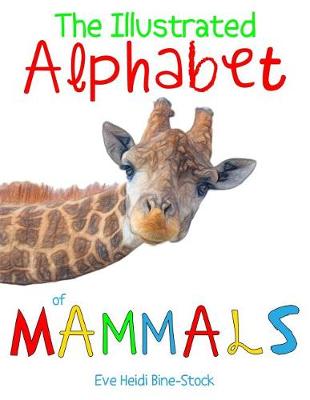 Book cover for The Illustrated Alphabet of Mammals