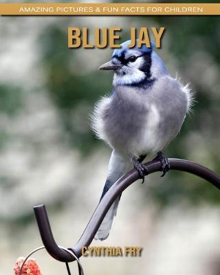 Book cover for Blue Jay