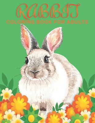 Book cover for Rabbit Coloring Book for Adults