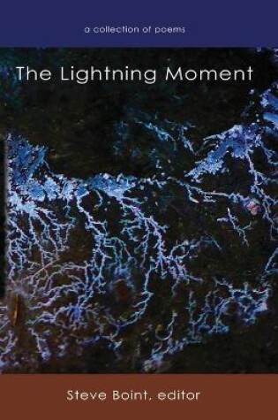 Cover of The Lightning Moment