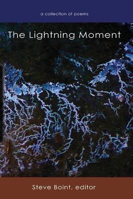 Book cover for The Lightning Moment