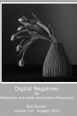 Cover of Digital Negatives for Palladium and Other Alternative Processes