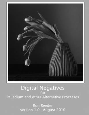 Book cover for Digital Negatives for Palladium and Other Alternative Processes