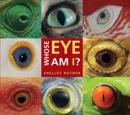 Book cover for Whose Eye Am I?