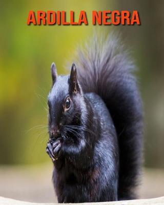 Book cover for Ardilla negra